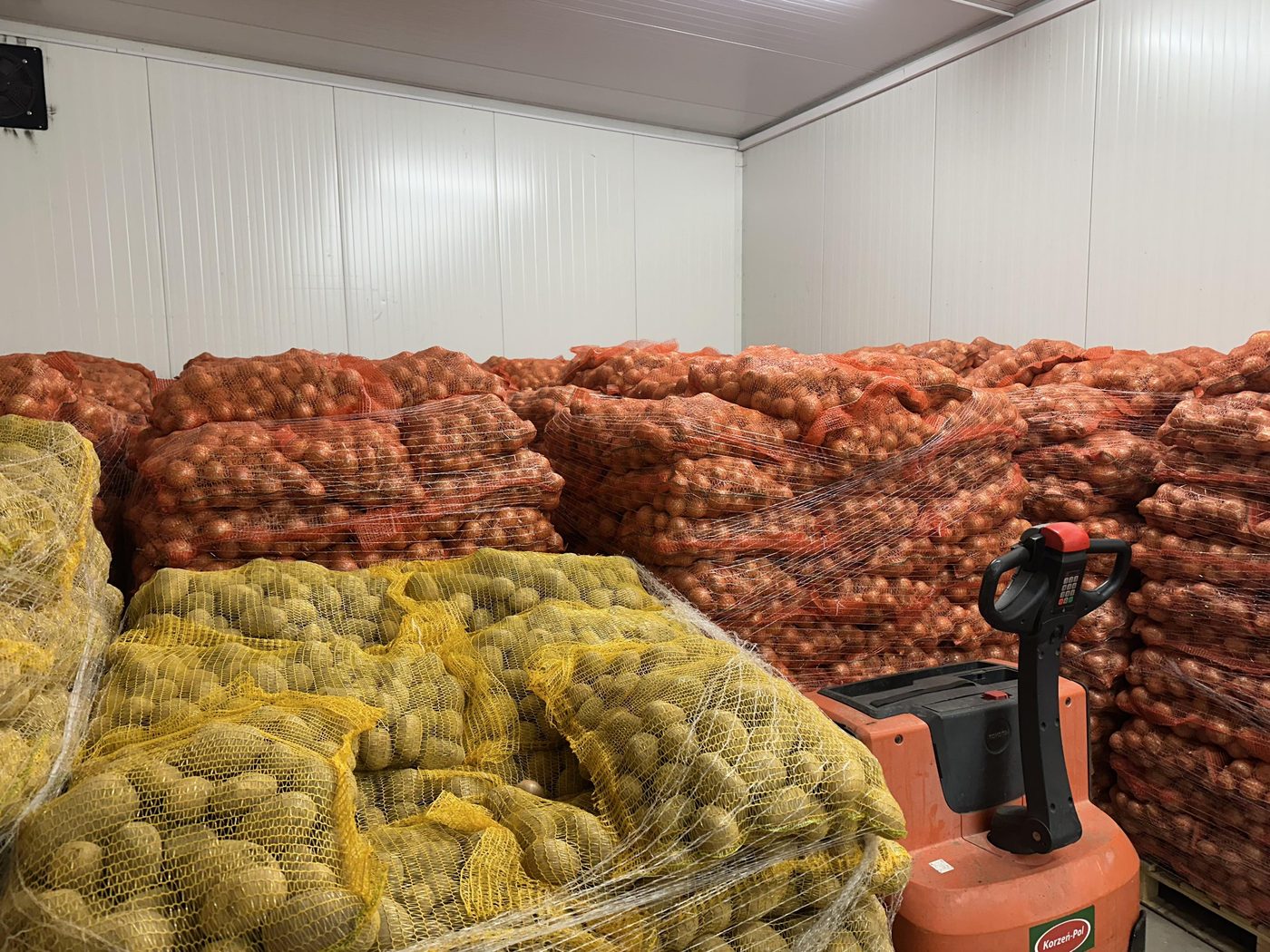 Duże palety cebuli żółtej w siatkowych workach w chłodni hurtowni Korzeń-Pol w Krakowie
