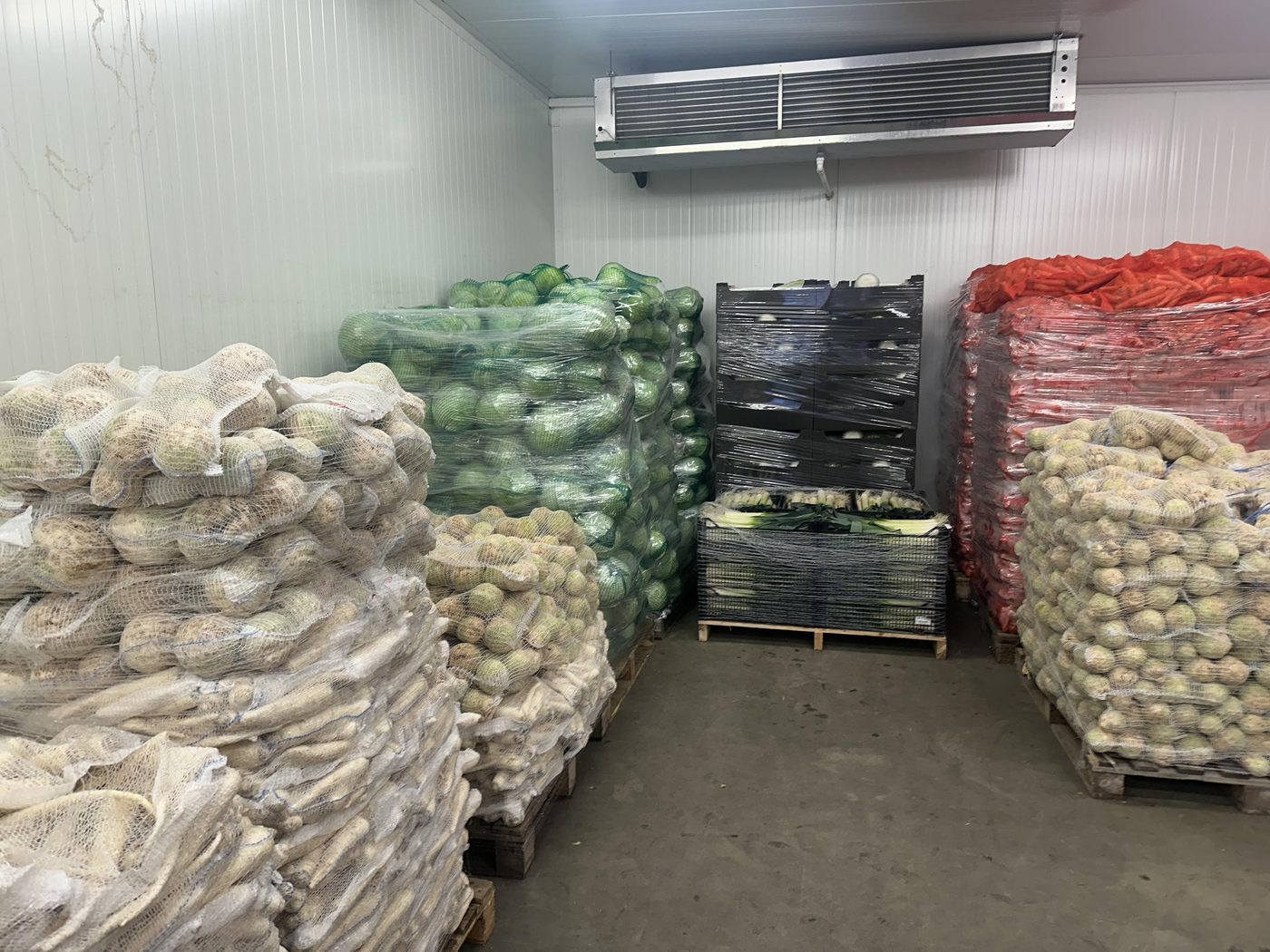 Wnętrze chłodni Korzeń-Pol z paletami warzyw i wózkiem widłowym