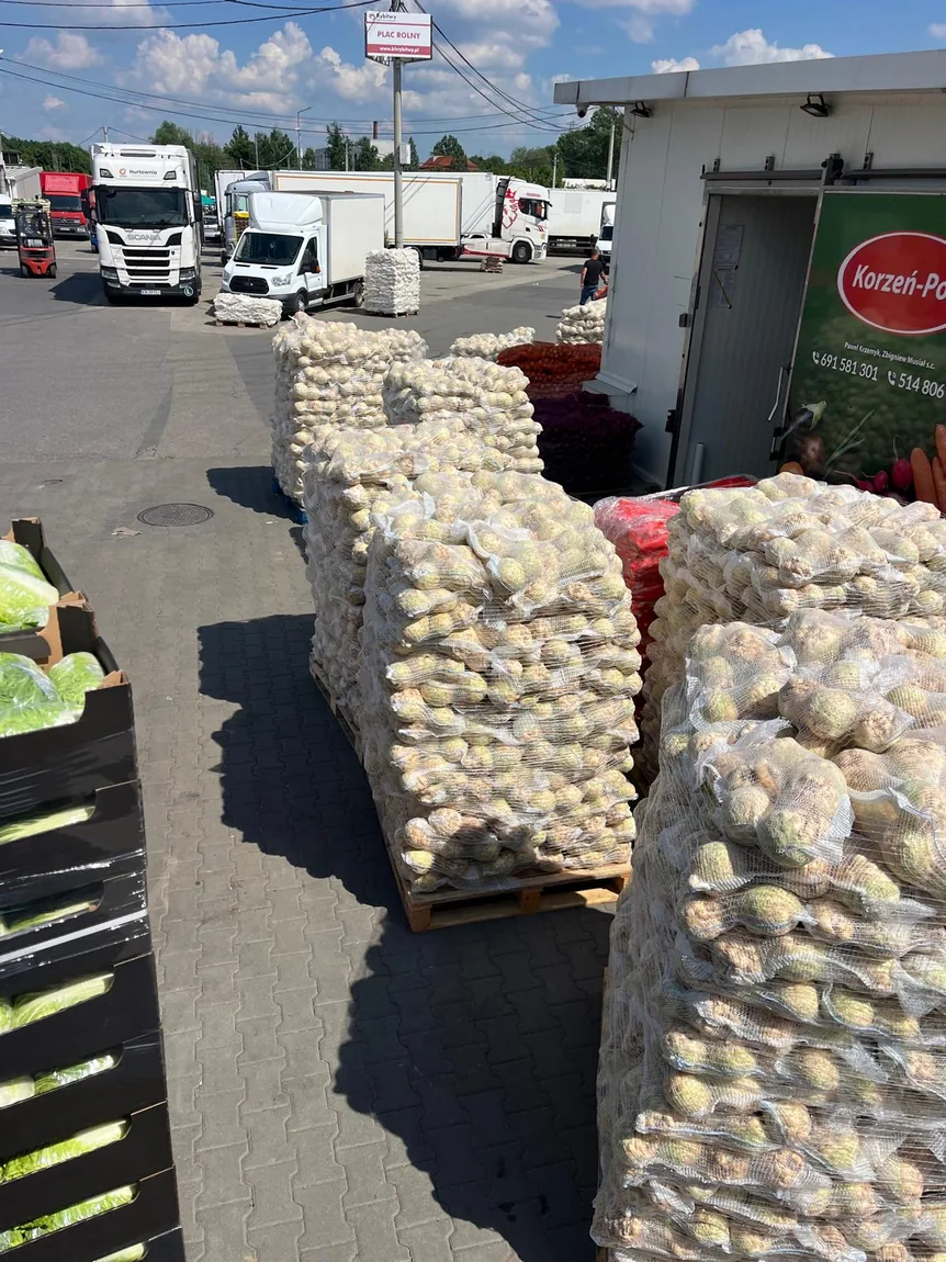 Palety czosnku na placu targowym, w tle ciężarówki i busy dostawcze