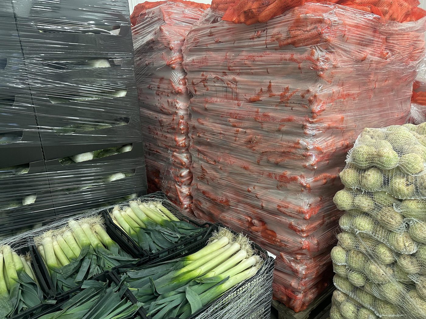 Pory w skrzynkach, marchew w workach siatkowych i kalarepa w chłodni Korzeń-Pol