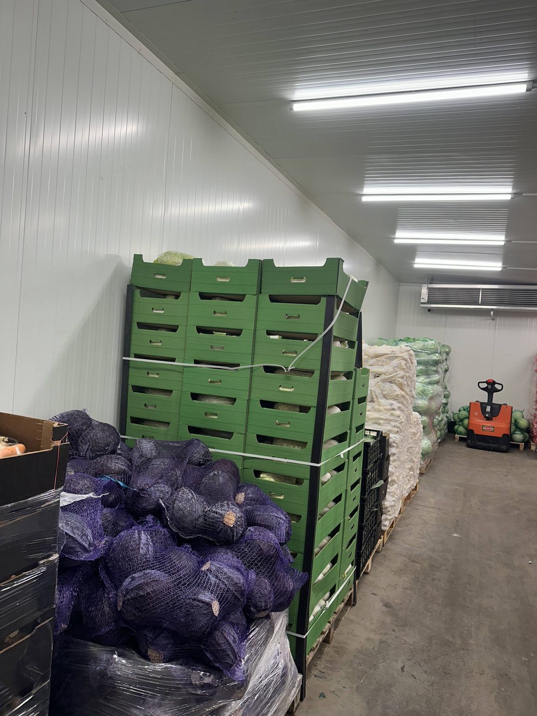 Skrzynki z kapustą i worki z cebulą w magazynie chłodniczym Korzeń-Pol