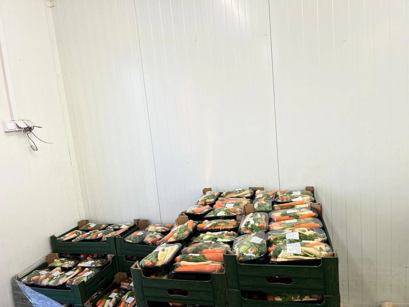 Skrzynki z włoszczyzną pakowaną na tackach, gotowe do wysyłki w chłodni Korzeń-Pol