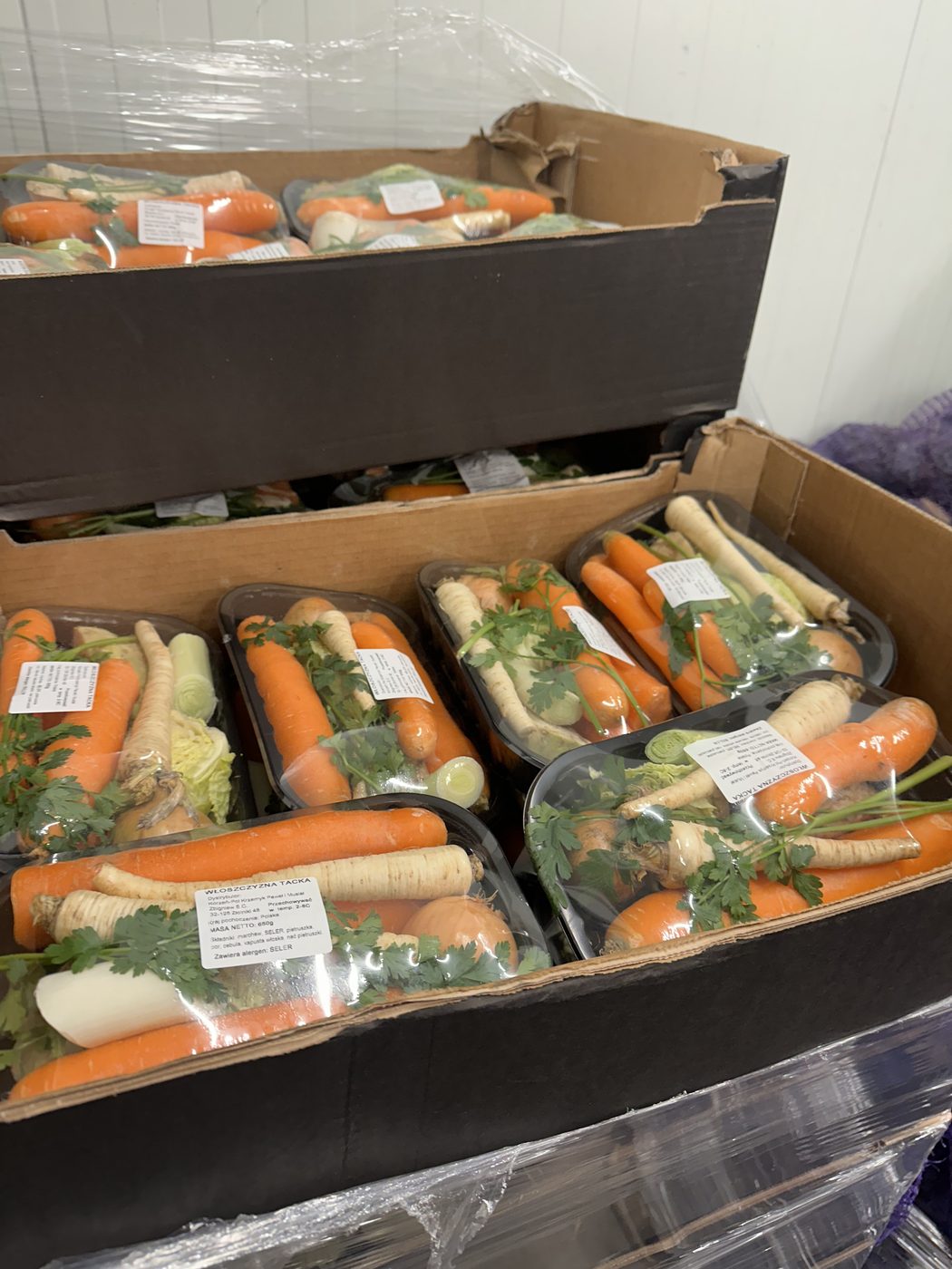 Włoszczyzna na tacce z marchewką, pietruszką, selerem i porem – produkt Korzeń-Pol